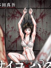 波族传奇